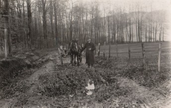 Bilder vom Hof
