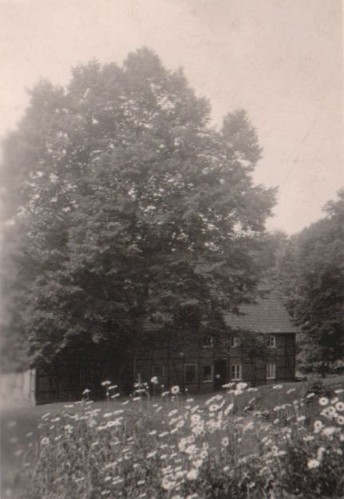 Bilder vom Hof