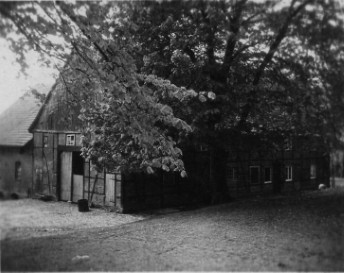 Bilder vom Hof