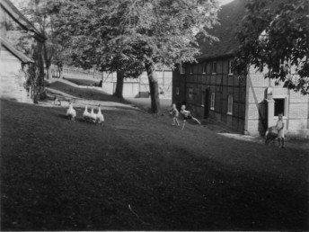 Bilder vom Hof
